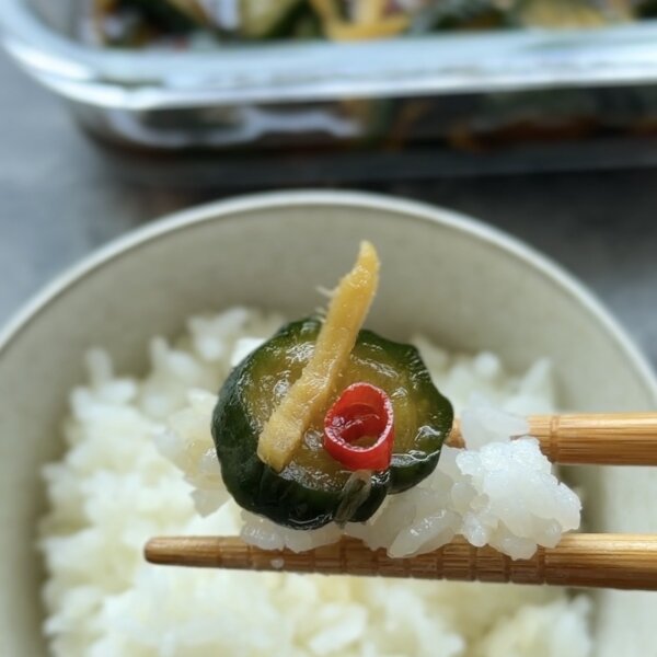Soy Pickled Cucumbers(Kyuri no Kyuchan Style)